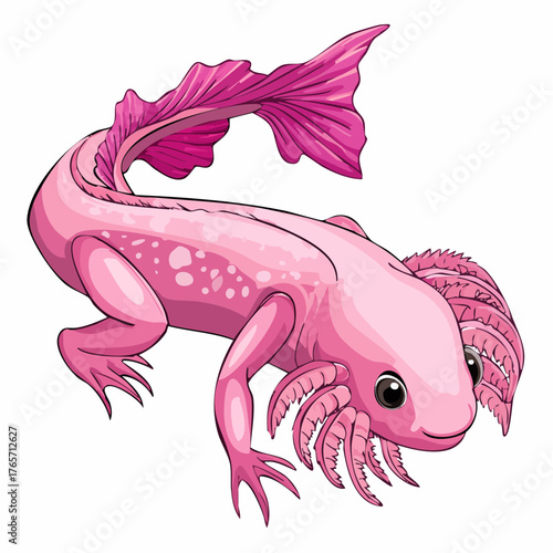 Axolotl