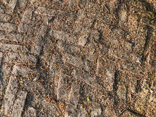 Overhead view of a muddy ground with tire tracks and scattered leaves in autumn season