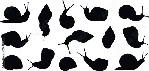 Grape snail silhouette. Isolated grape snail on white background