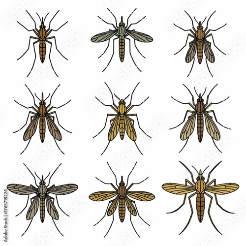 Mosquitoes Set Different Species Insects Pests Vector Illustration