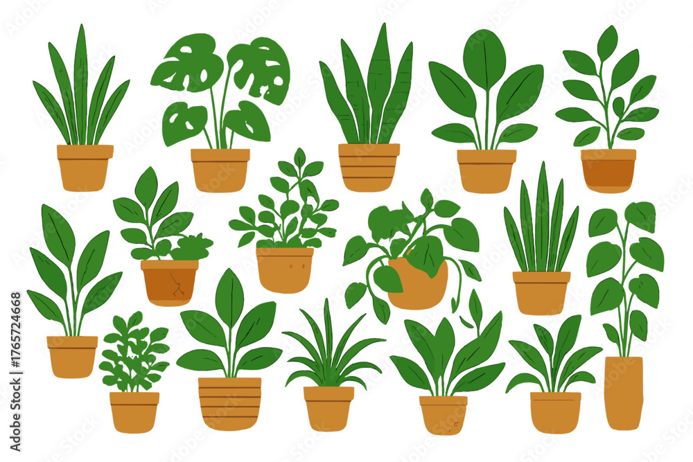 Obraz premium Set of diverse potted green foliage plants for home decor