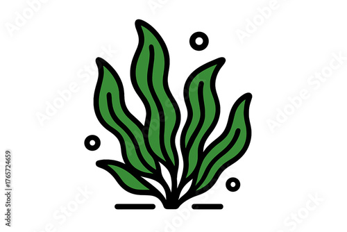 Green aquatic seaweed or kelp plant with rising air bubbles on a white background
