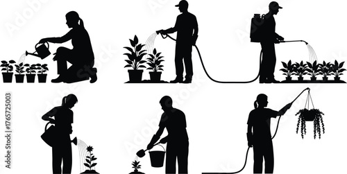 Gardening silhouette, watering plants, hose irrigation, potted plant care, sprayer action, garden maintenance, plant growth, outdoor activity, black figure, nature care