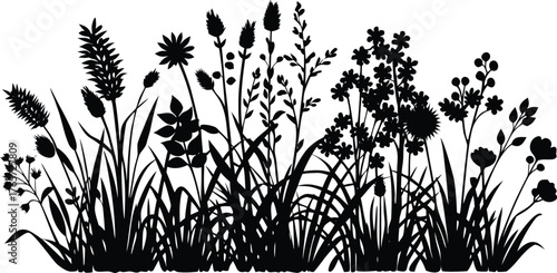 Detailed black silhouette of various wild meadow grasses and wildflowers against a white background