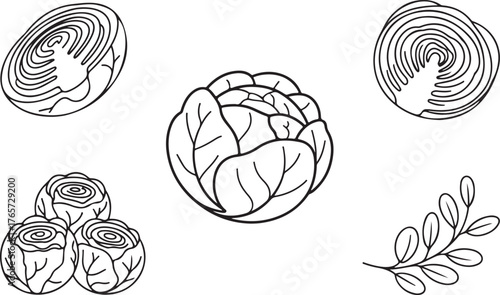 Set of Cabbage and Leaf Vegetable Outline Icons - Healthy Food Line Art Vector