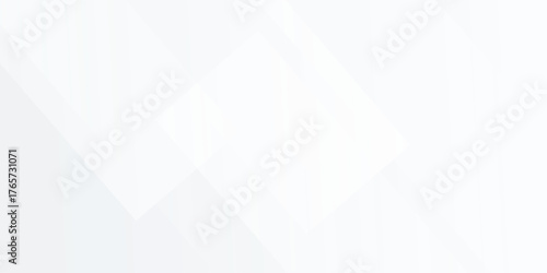 Simple white and gray background. smooth abstract background, blurred pattern. vector eps10