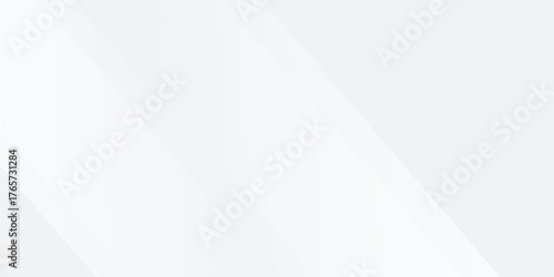 Simple white and gray background. smooth abstract background, blurred pattern. vector eps10