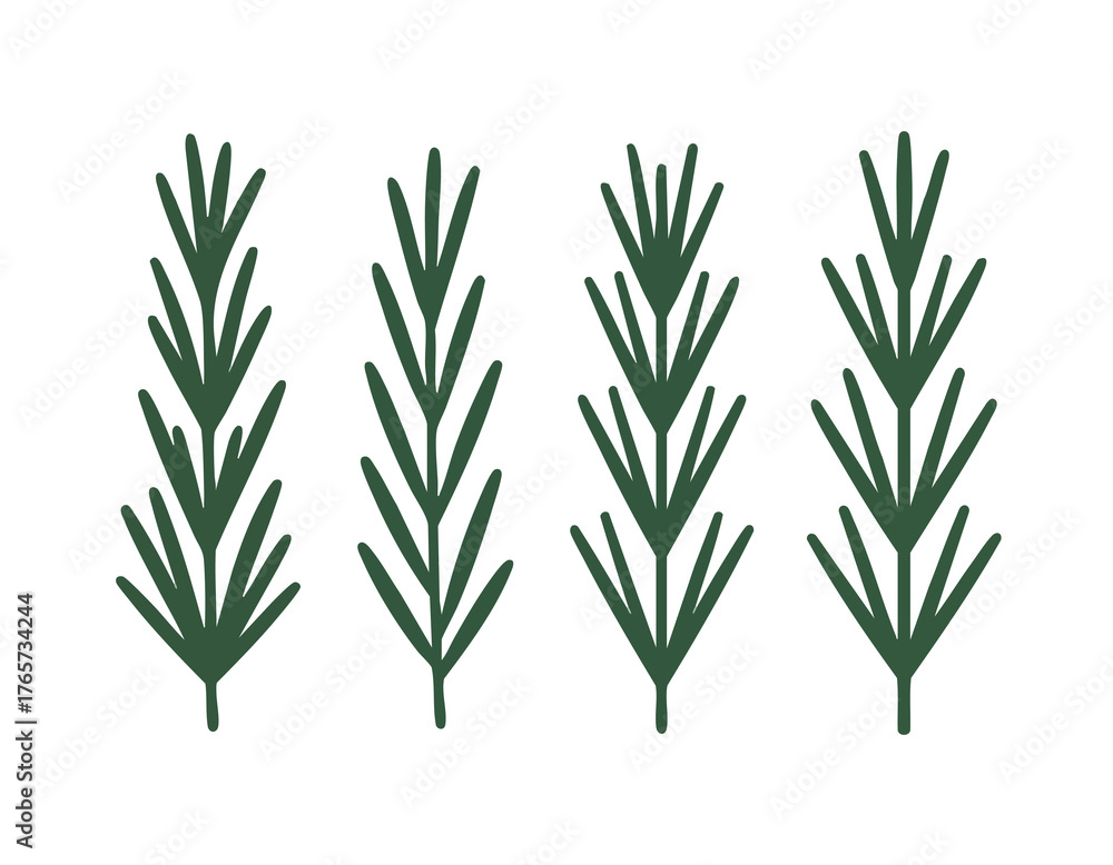 Fototapeta premium Four green rosemary sprigs against a white backdrop