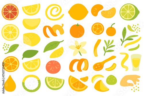 Watercolor citrus fruit and peel icon set with herbs