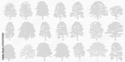 Collection of diverse deciduous tree silhouettes in light gray against a white background