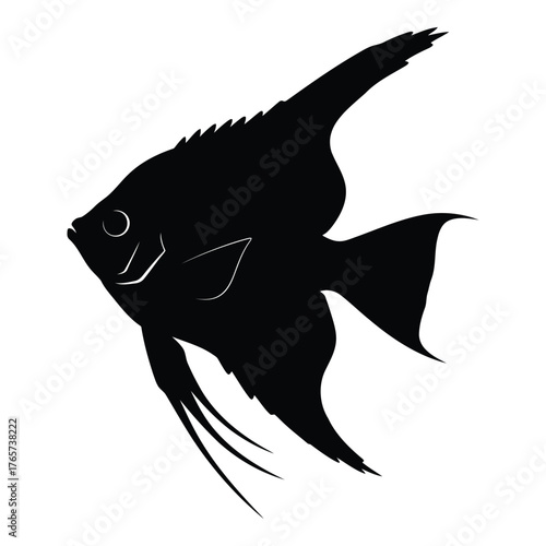 Elegant Angelfish Silhouette Aquatic Freshwater Tropical Fish Black and White Design