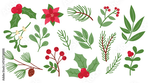 Set of Christmas plant illustrations. Winter botanical holly, poinsettia, mistletoe, berries, and evergreen sprigs. Xmas and New Year decor elements