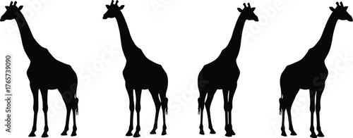 Silhouette of four giraffes standing side by side on white background, elegant wildlife animals, African safari nature scene, minimalist art