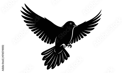Flying Bird Silhouette with Open Wings, Isolated on Transparent Background