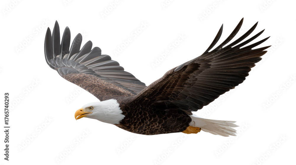 Fototapeta premium Majestic Bald Eagle in Flight: A bald eagle soars gracefully through the air, its powerful wings spread wide against a bright sky, symbolizing freedom and strength. 