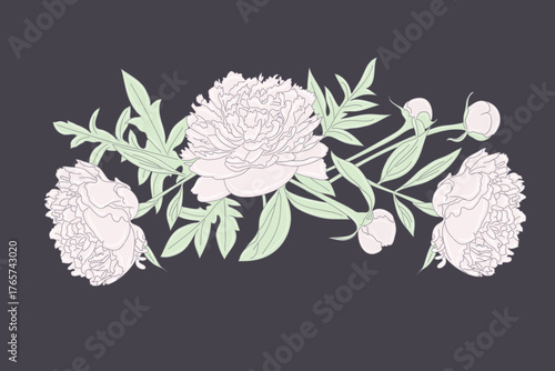 Elegant pastel peony floral illustration on dark background, hand drawn botanical artwork with delicate flowers and leaves for cards and prints