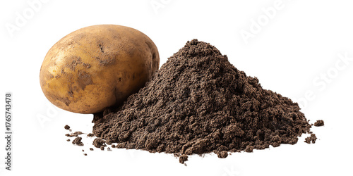 A potato next to a pile of dark soil on a transparent   isolated on transparent background