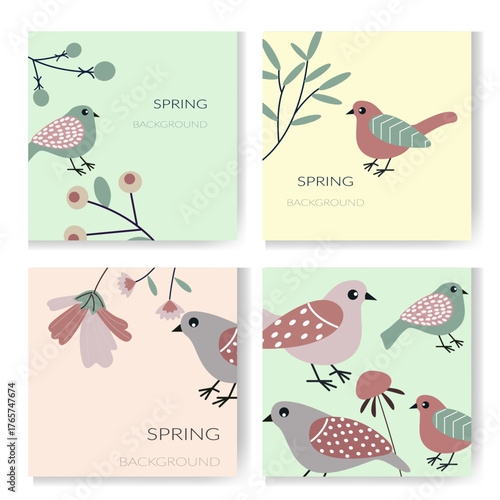 Spring birds  Spring 2026 Vector drawing of spring flower. Spring Festival. the first delicate flowers of spring. Square background with birds Postcards with flowers and birds 