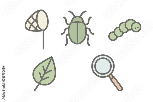 Nature and entomology icons set featuring insects, butterfly net, leaf, and magnifying glass