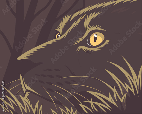 Predator’s Gaze