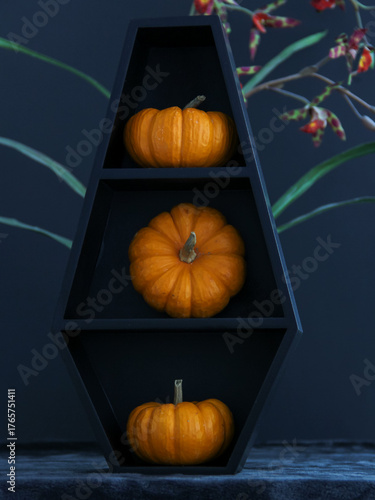 Spooky Halloween coffin shelf with pumpkins with a dark background and space for text overlay. Suitable for Halloween background, wallpaper or screensaver.