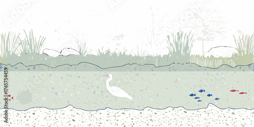 A graceful white egret stands in shallow water observing a school of small fish swimming by