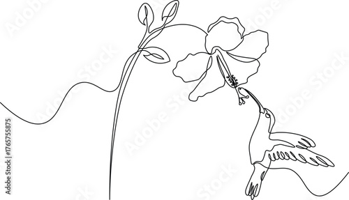 Abstract Hummingbird Drawing in One Line. Flying Bird and Floral Outline Design