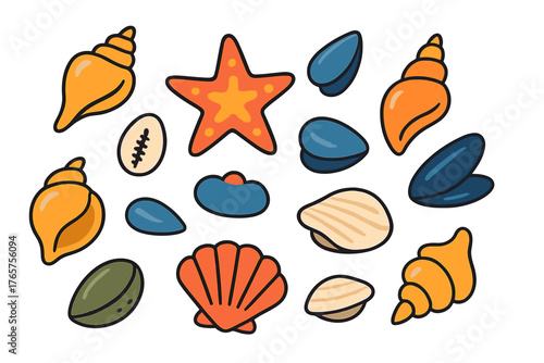 Vibrant collection of ocean seashells, spiral shells, clams, mussels, and a starfish