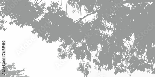 Abstract silhouette of tree branches and leaves against a bright white sky background