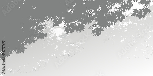 Abstract grayscale background with dappled light filtering through tree leaves
