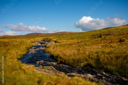 Obraz na plátně Flowing Stream Across Golden Moorland in Snowdonia, Wales