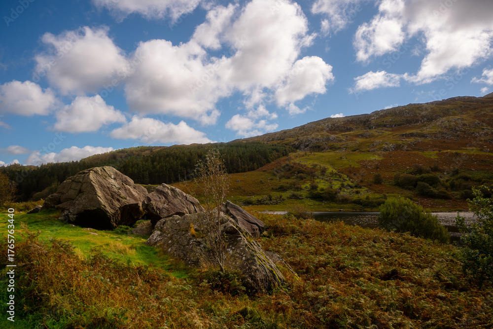 Fototapeta premium Large Boulders on Hillside Meadow by Lake in Snowdonia, Wales