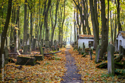 Zabytkowy cmentarz żydowski w Warszawie, Jesień w Warszawie.