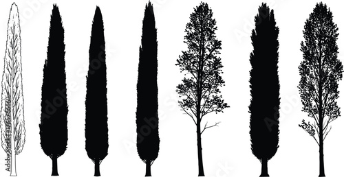 illustration, foliage density, nature art, landscape design, environmental concept, rural scenillustration, foliage density, nature art, landscape design, environmental  seasonal trees