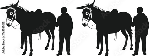 Silhouettes of person with donkey in rural setting, black vector illustration for agriculture, transport, labor, companionship, and human-animal interaction concept