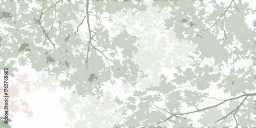 Soft focus overhead view of light green tree branches and leaves against a white background