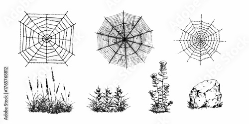 Collection of hand drawn black ink sketches featuring different styles of spiderwebs and natural elements like grass plants and a rock