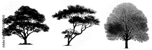 The outline of a modern tree creates a stunning icon suitable for nature-focused applications and websites
