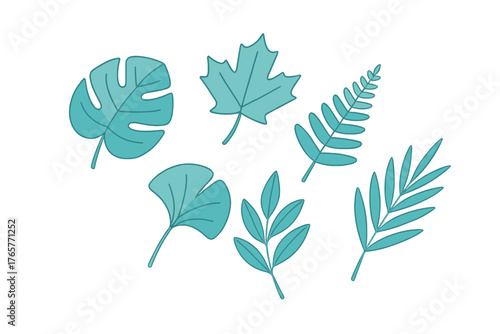 Diverse botanical leaf shapes from tropical and deciduous plants in a simple flat graphic style