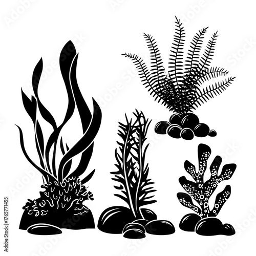 A modern set of isolated seaweed and coral plants is now available, featuring marine cartoon clipart illustrations that include grass, reef, algae weed, and fish, all presented as cute nautical