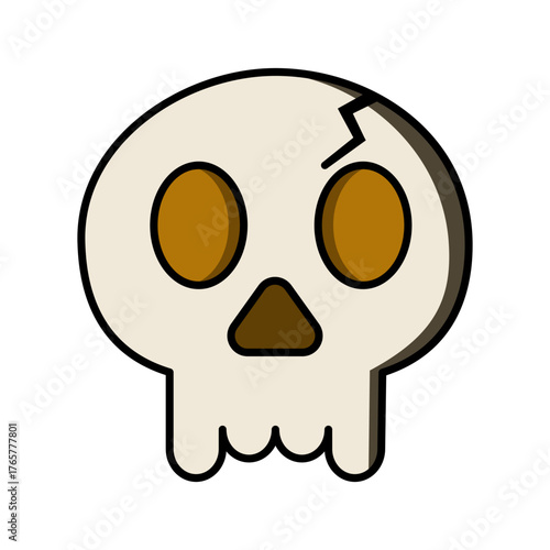 Skeleton skull on white background.