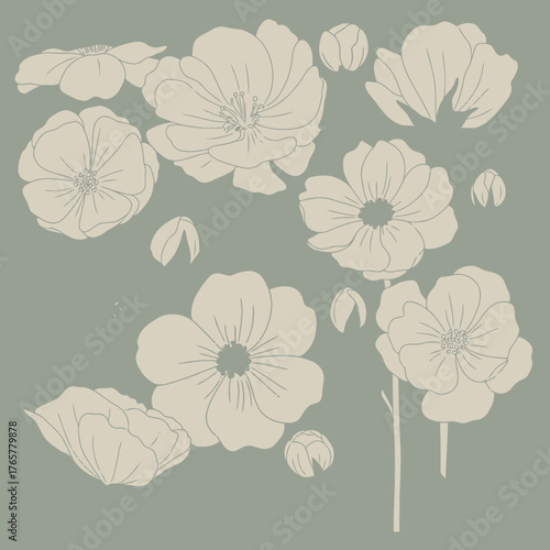 다양한 크기와 각도로 표현된 연한 베이지색 꽃과 꽃봉오리들의 모음.