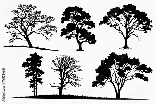 Tree Silhouette Vector Pack Isolated on White Background