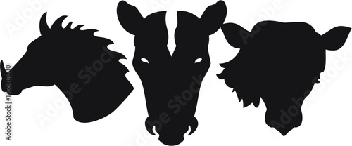 silhouette of a horse