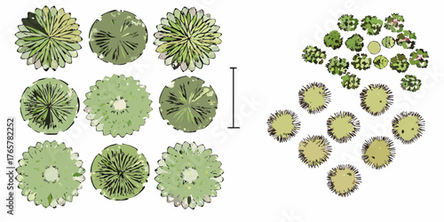 Top view illustration of various stylized plants and trees for landscape design and architectural visualization