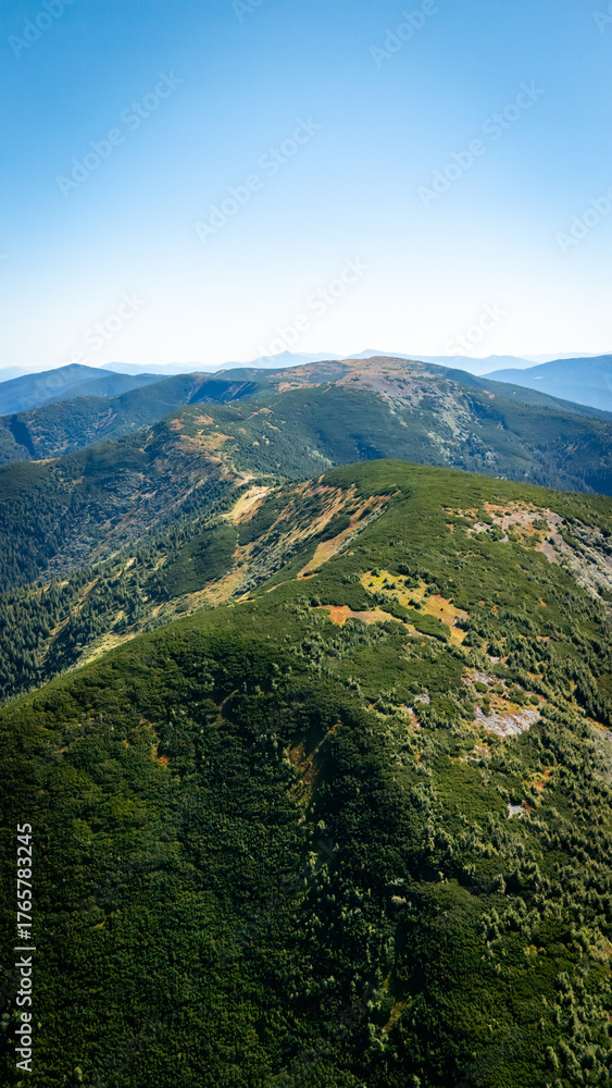 Fototapeta premium Drone panorama of forested mountains in the Carpathians, capturing untouched wilderness, deep green valleys, and natural beauty of Ukraine’s highlands