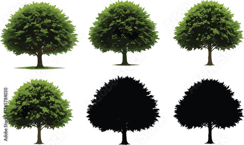 Tree illustration pack, foliage to silhouette, seasonal transition, nature design asset, educational resource, landscape element, vector tree variation, shading style