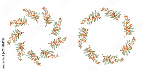 Sea buckthorn. Autumn berry watercolor circle frame. Round frame of autumn berries. Sea buckthorn. Berries have different shapes and are arranged in a circle. Vector square isolated on white backgroun