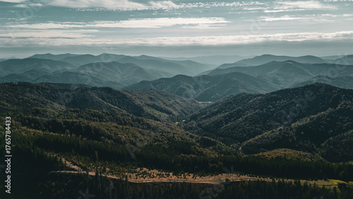 Cinematic drone shot of deep Carpathian valleys and endless green ridges under dramatic clouds, showing the untouched power of mountain wilderness