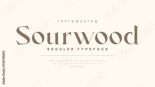 Modern classic lettering alphabet. Elegant typography from a to z and number. Vector illustration